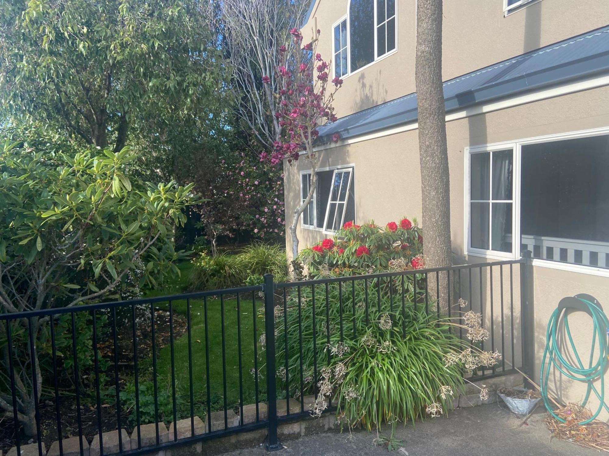 The Ground Floor Guest Suite Dunedin Exterior photo